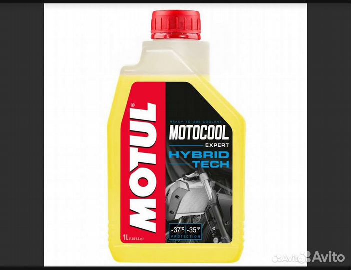 Антифриз Motul motocool expert