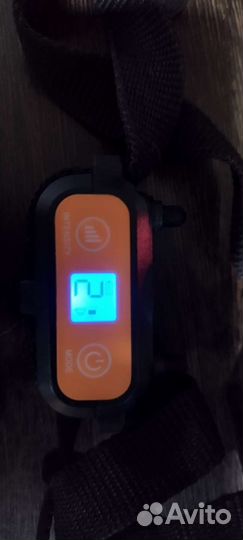 Ошейник для собак