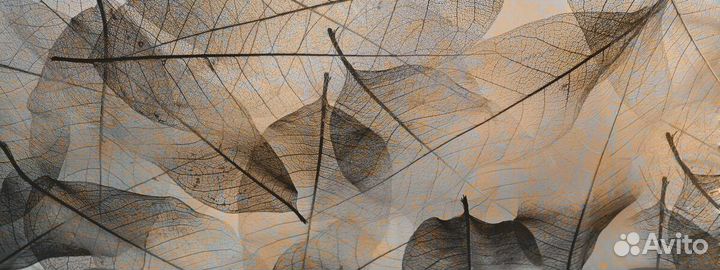 Обои EMI-71 Momenti Casa