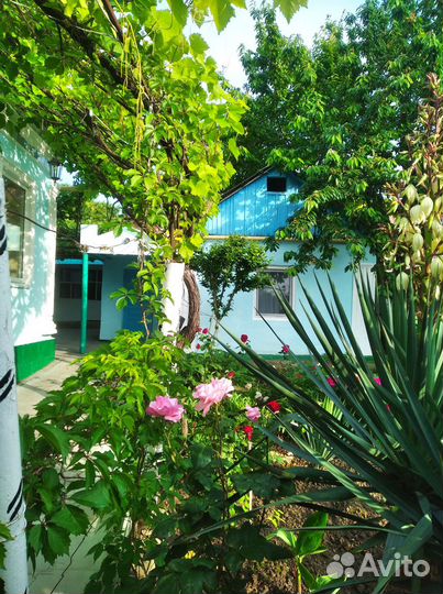 Гостевой дом