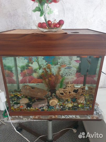 Аквариум