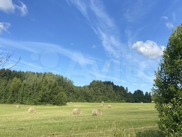 Участок 3 га (СНТ, ДНП)