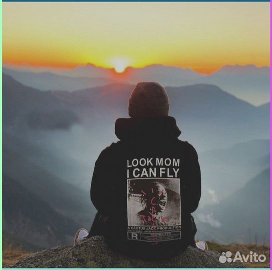 Худи Travis Scott Cactus jack (Арт. 703250)