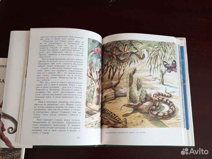 Книги о животных для детей