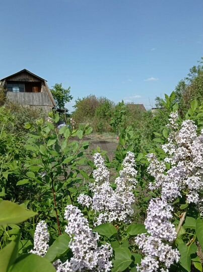 Участок 10 сот. (СНТ, ДНП)