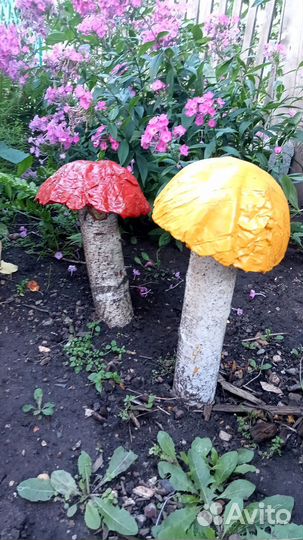 Декоративные грибы