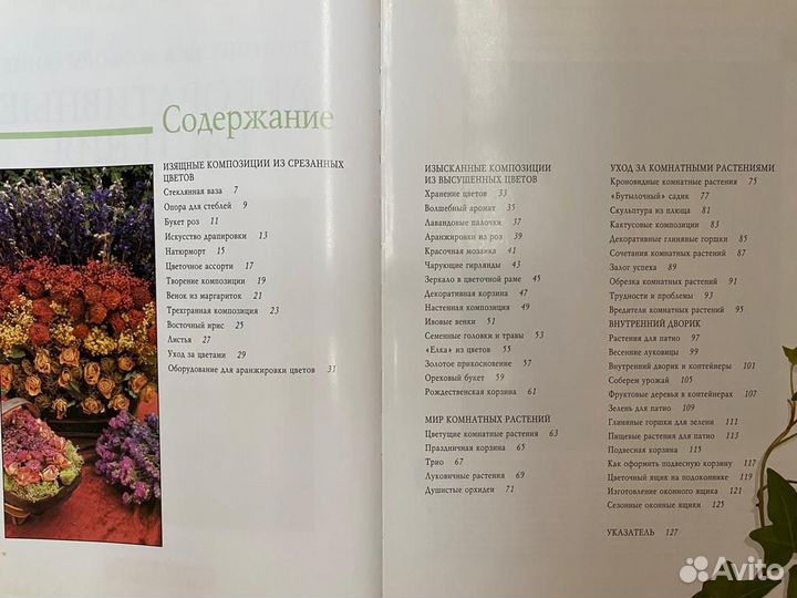 Декоративные растения. Планировка и оформление