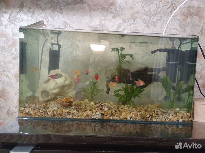 Аквариум 50л. Грот, грунт