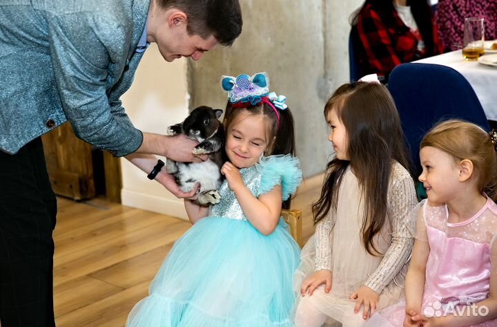 Выпускной Аниматор на детский праздник