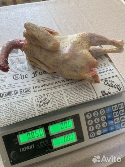 Домашний бройлер, суповые петушки