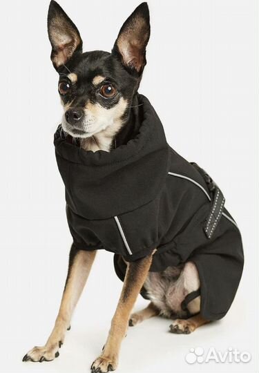 Попона для собаки