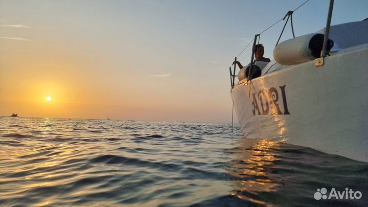 Морские прогулки