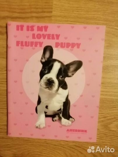 Школьные дневники