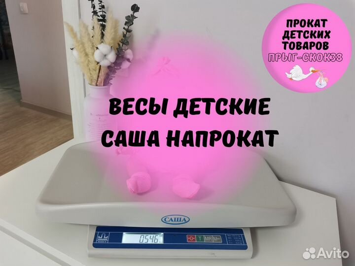 Весы детские. Саша. Аренда