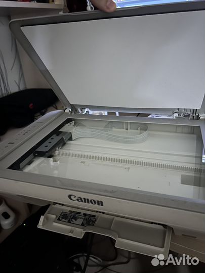 Принтер canon pixma MG2440