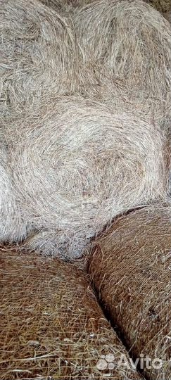 Сено в рулонах и тюках
