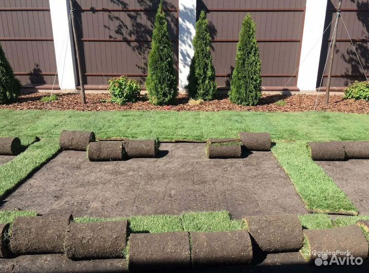 Рулонный газонУкладка Рулонного газонаГазон от про