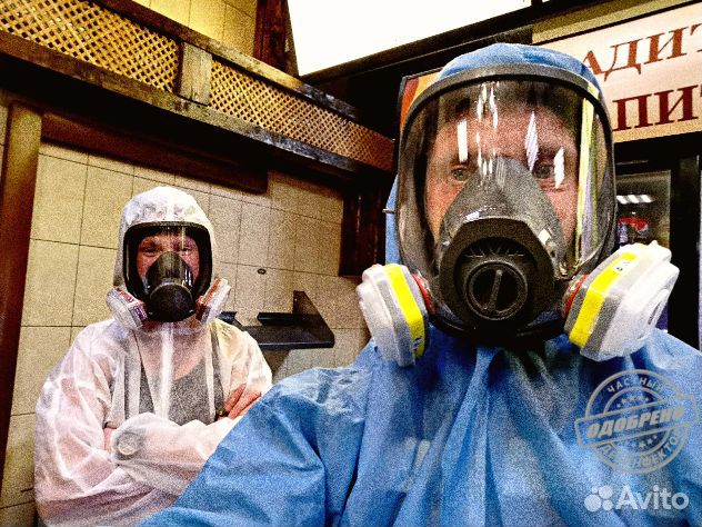 Уничтожение клопов тараканов дезинфекция плесени