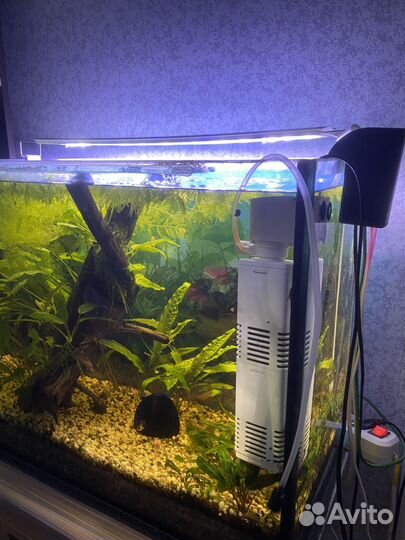 Аквариум 80 л