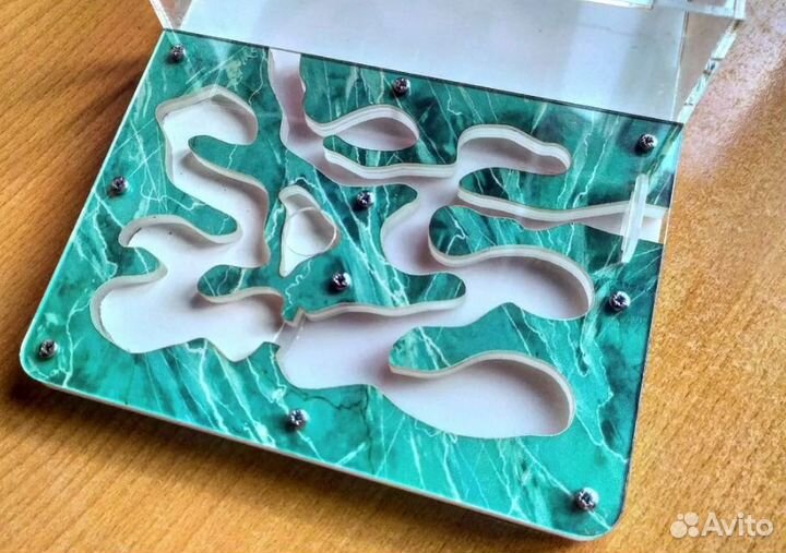 Муравьиная ферма с муравьями