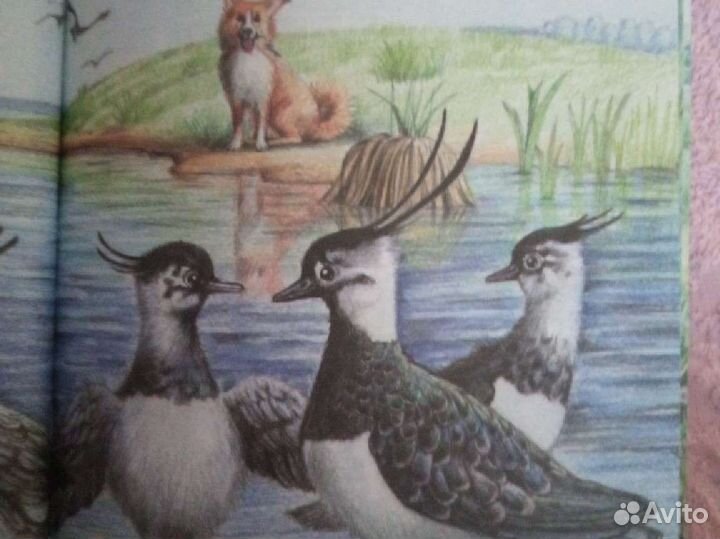 Книга М. Пришвина 