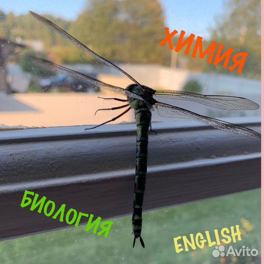 Биология химия