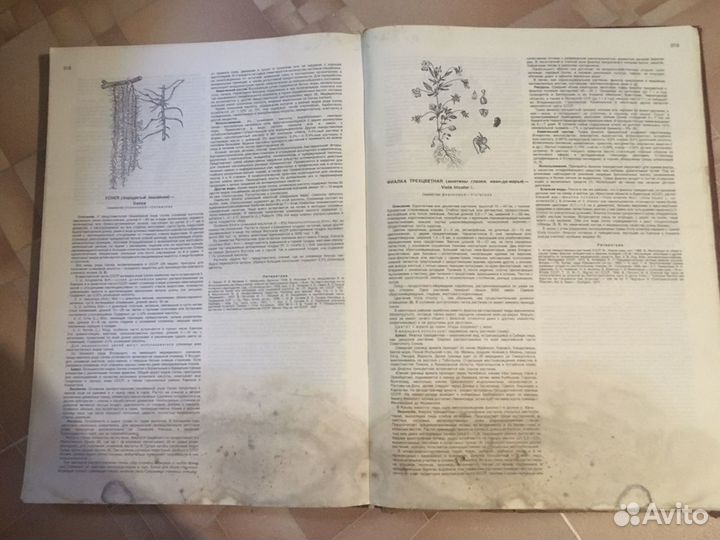 Атлас ареалов и ресурсов лекарственных СССР