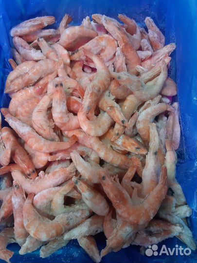 Морепродукты