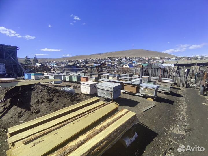 Продам пчел с ульями