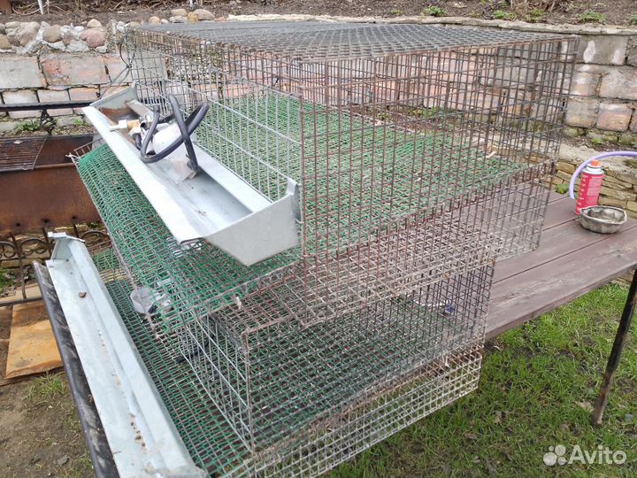 Клетки для содержания перепелов