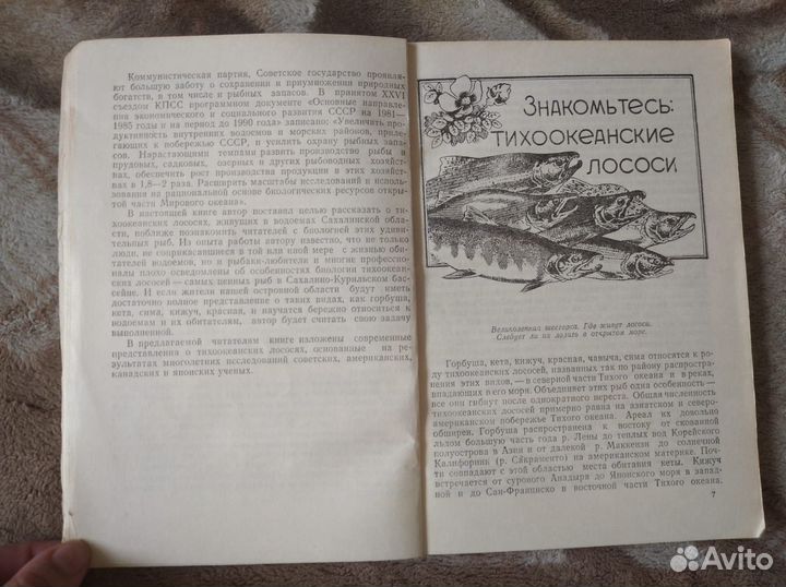 Рухлов Жизнь тихоокеанских лососей 1982 Дальневост