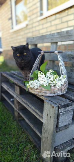 Плетёная корзина из бумажной лозы