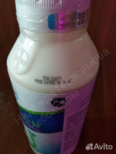 Оберон рапид