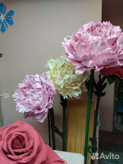 Большие пионы на мероприятие, оформление фотозоны