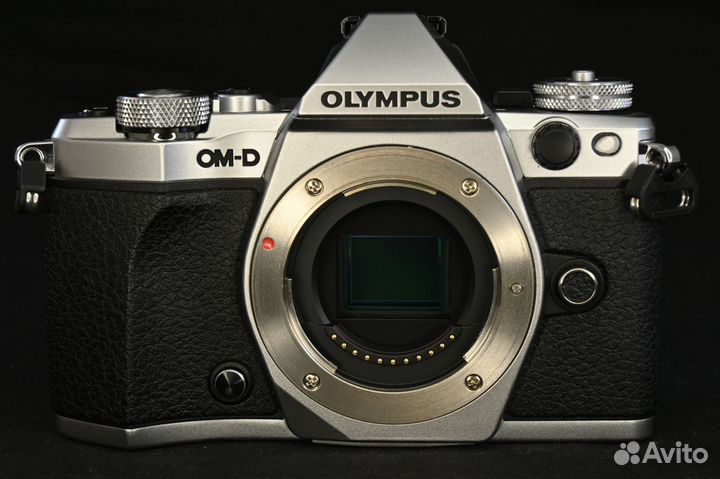 Olympus OM-D E-M5 mark II body