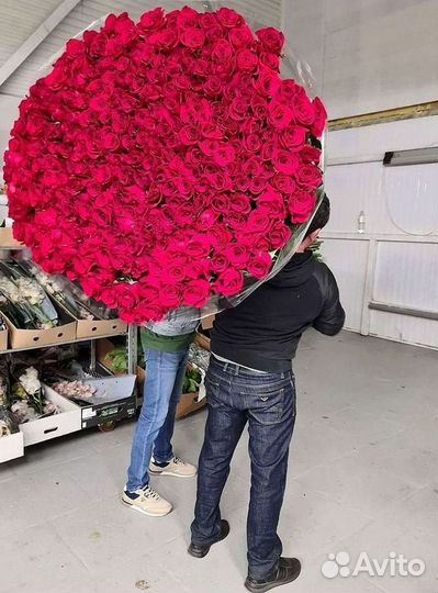 Высокие Розы с Доставкой