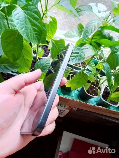 iPhone 15 Pro Max, 256 ГБ