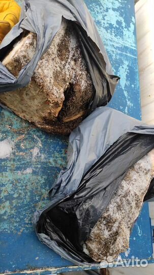 Рубец говяжий