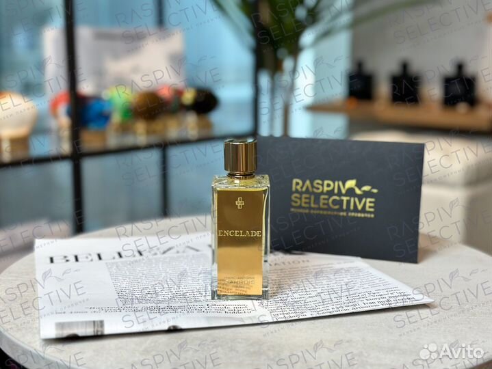 Marc Antoine Barrois Encelade