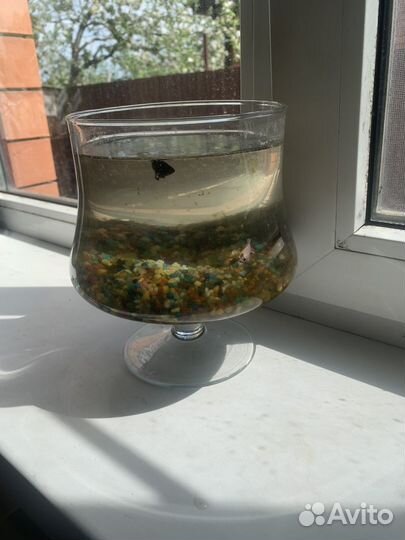 Бокал с двумя петушками