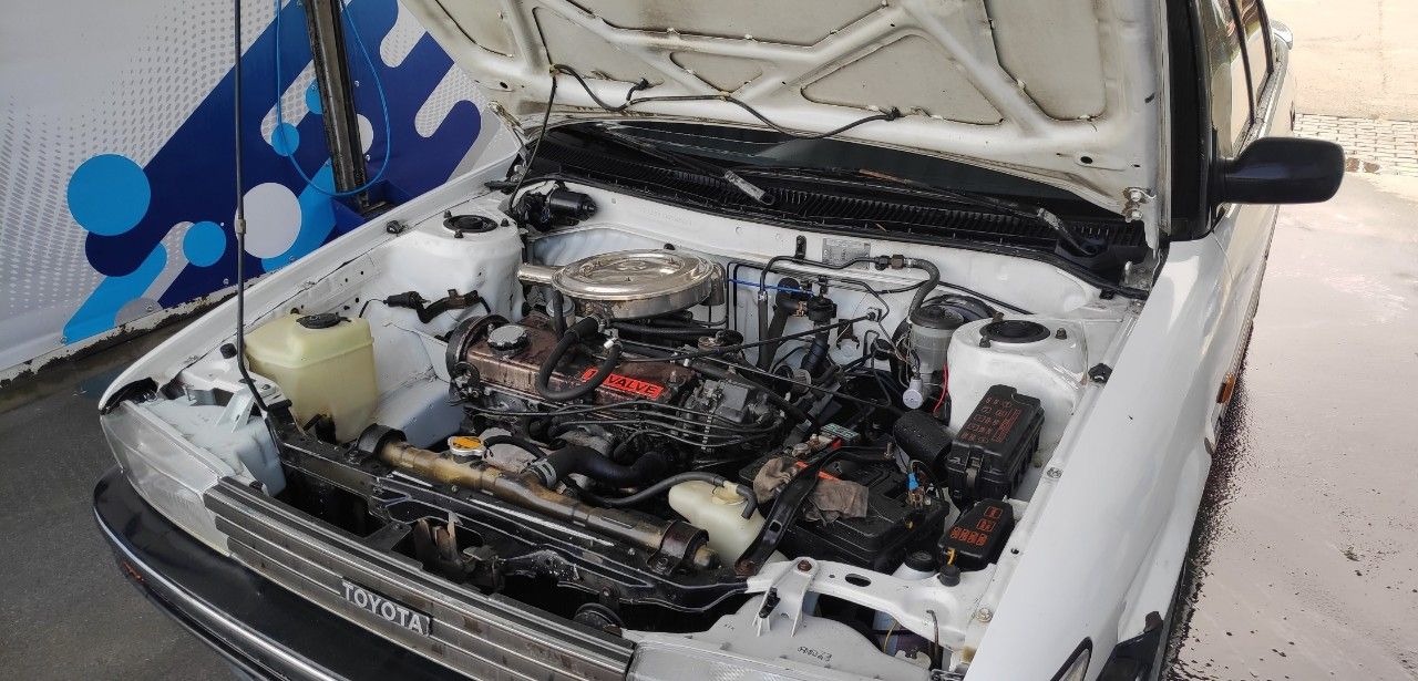 Toyota Corolla: фото владельца