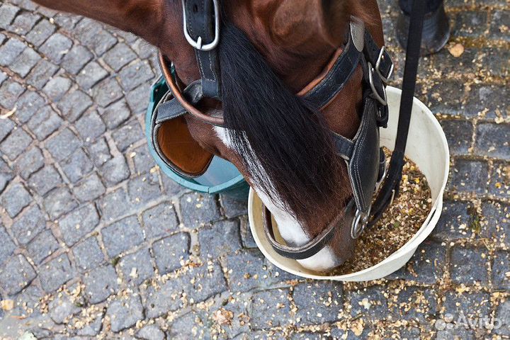 Корм для лошадей