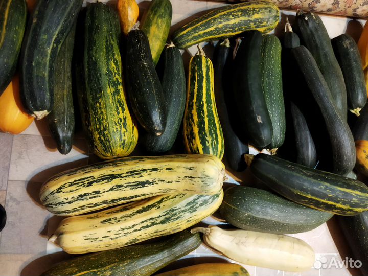 Кабачки свежие разных сортов