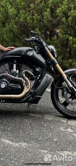 Harley-Davidson v-rod muscle