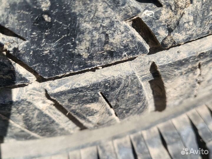 Continental Contact UHP 255/50 R19