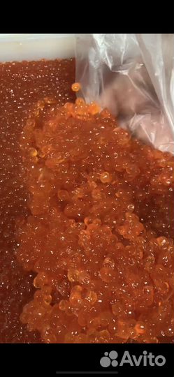 Икра красная оптом