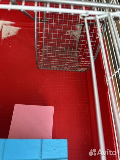 Клетка для грызунов с большим колесом