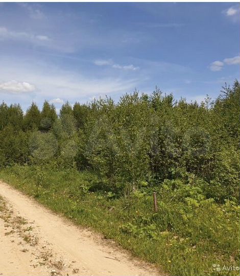 Участок 24 сот. (СНТ, ДНП)