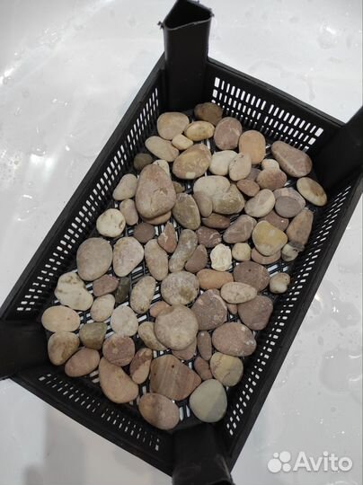 Камни с моря