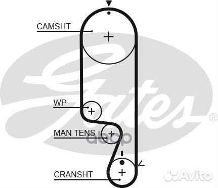 Ремень грм 5535XS Gates